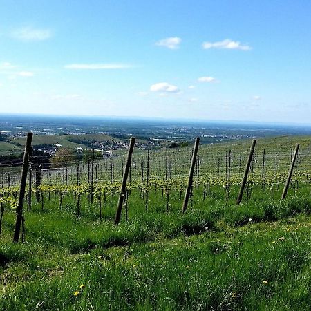 Ferienhof Vordere Alm 오버키르히 외부 사진